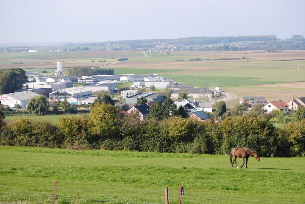 dsc_0805