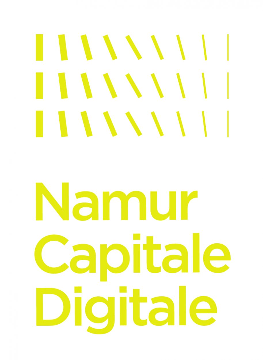 NamurCapitaleDigitale_jaune NamurCapitaleDigitale_jaune