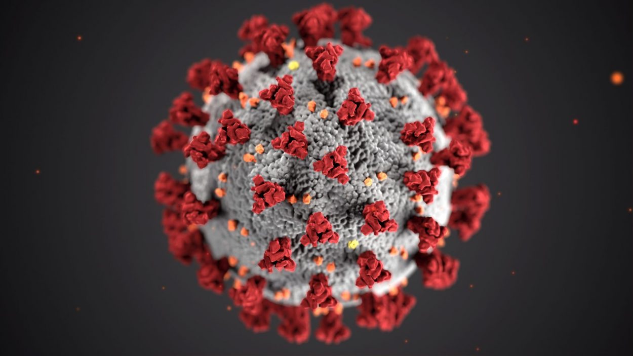 Coronavirus-2 Coronavirus-2
