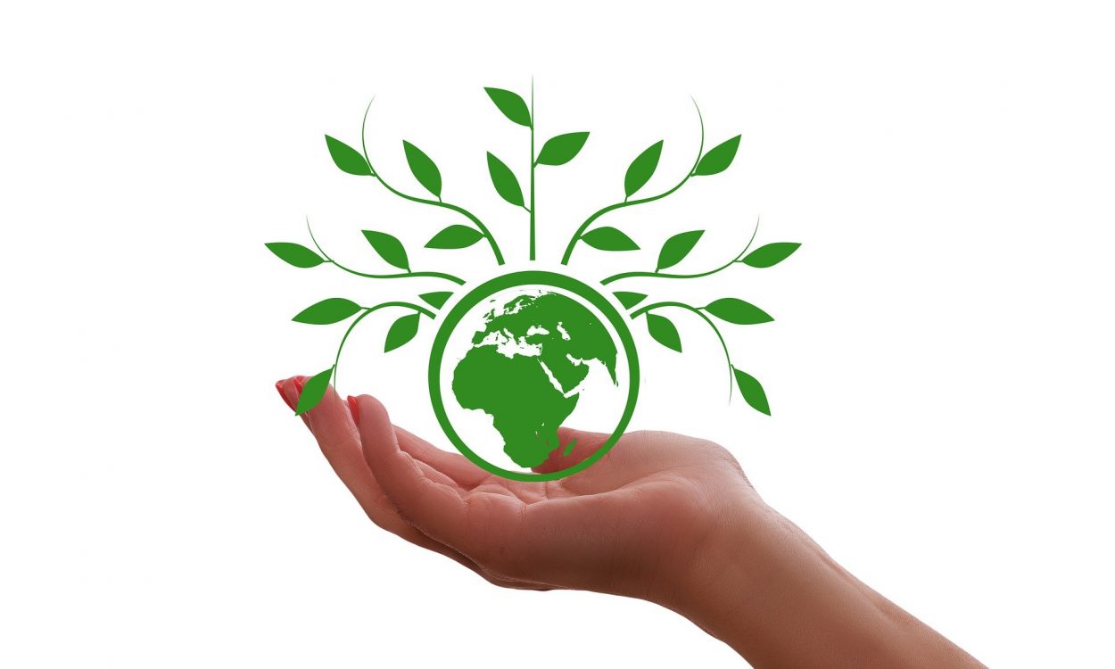 économie circulaire - Green Deal Main tendue tenant une icône verte représentant la terre et des branches d'arbres
